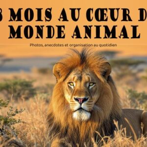 Calendrier Perpétuel 18m